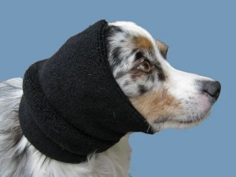 Happy Hoodie hearing protection
